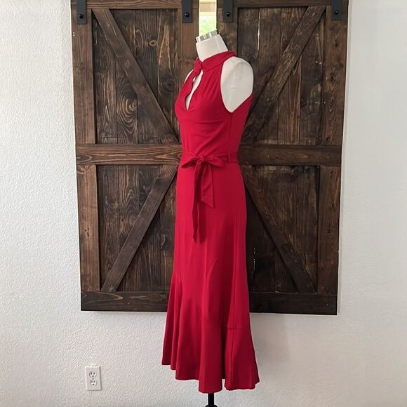 JASAMBAC Elegant Criss Cross Halter Neck Ruffle Hem Belted Bodycon Dress - Picture 7 of 14